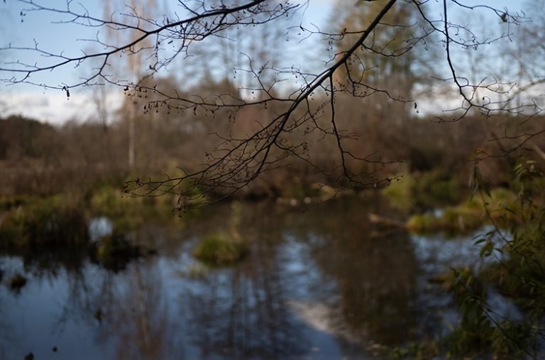 TTArtisan 50mm F1.4 ASPH.
