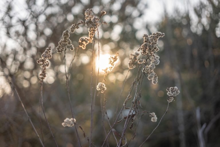 Dziś ma miejsce premiera TTArtisan AF 35mm F1.8 ED w mocowaniu Sony E: pierwsze zdjęcia przykładowe