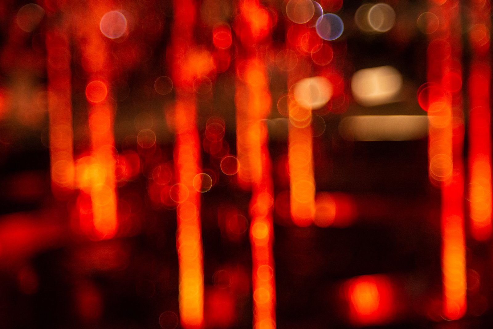 Nikon D800 i TTArtisan 100mm F2.8 Bubble Bokeh