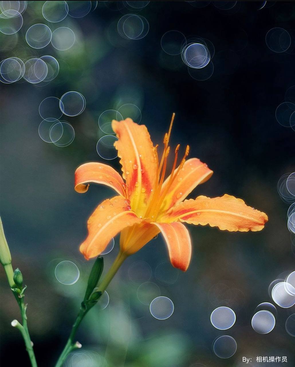 TTArtisan 100mm F2.8 Bubble Bokeh M42 w drodze!