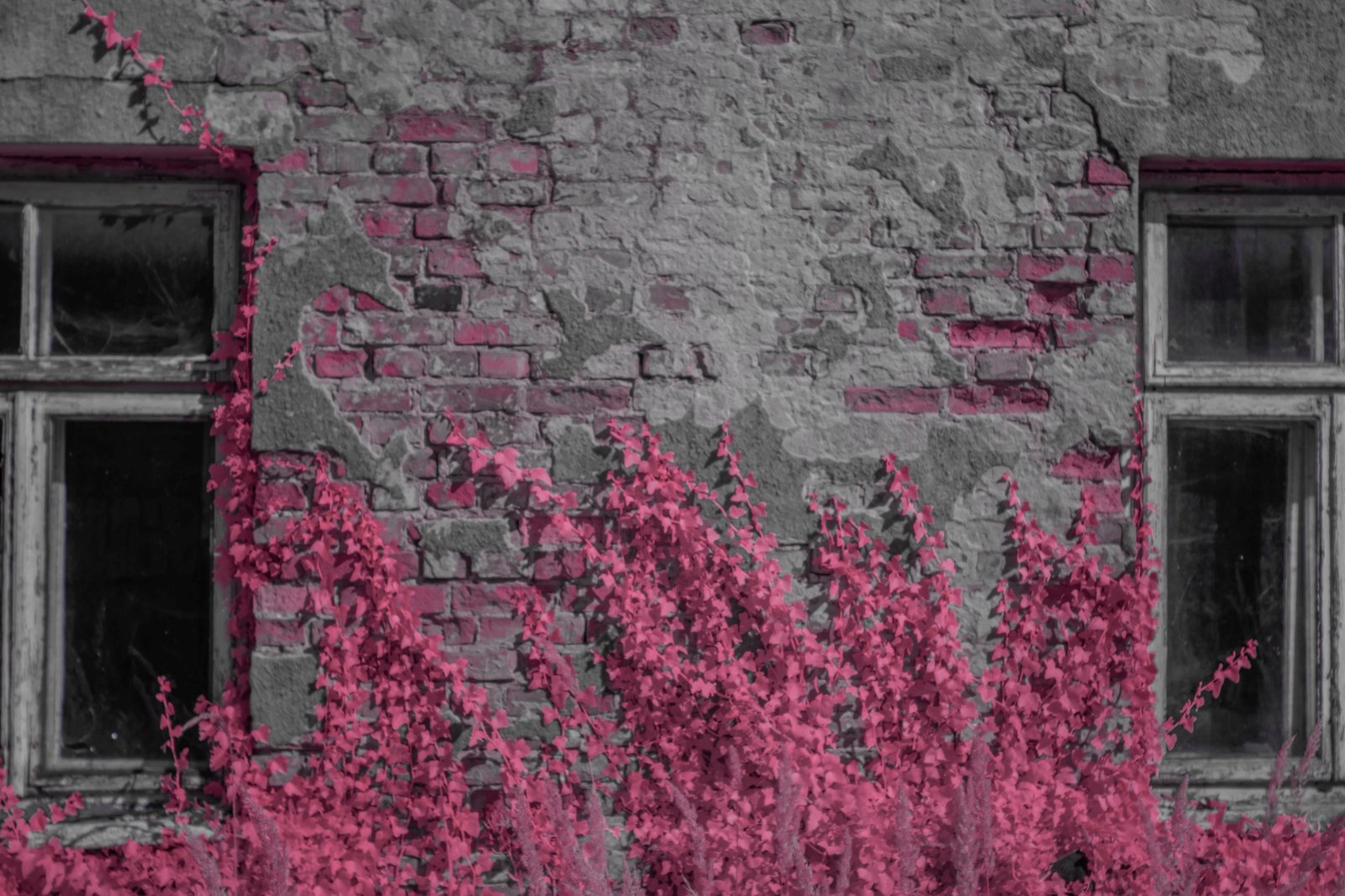 Batch ttartisan 40mm f2 ed asph sony a6000 ir dsc9749