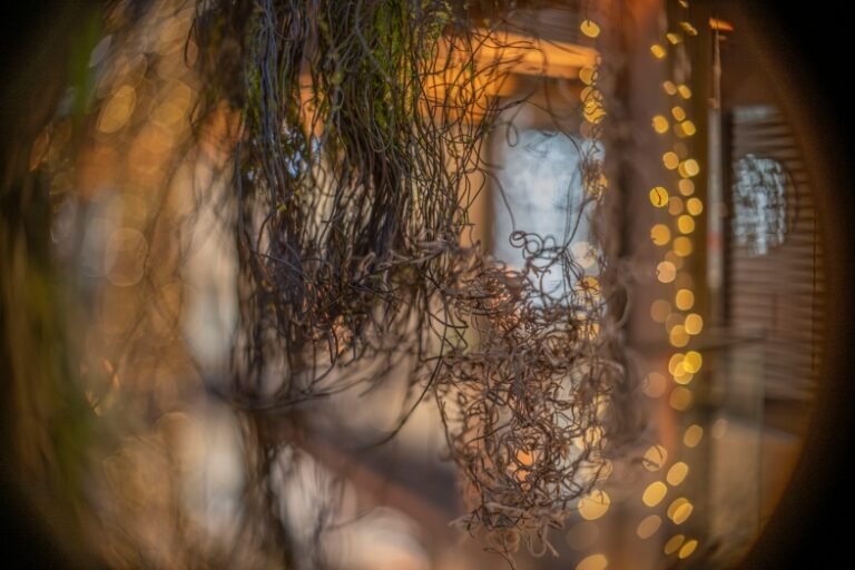 blog-interfoto-eu-ttartisan-tilt-35mm-f1-4-test-sony-a6500-nikon-z9