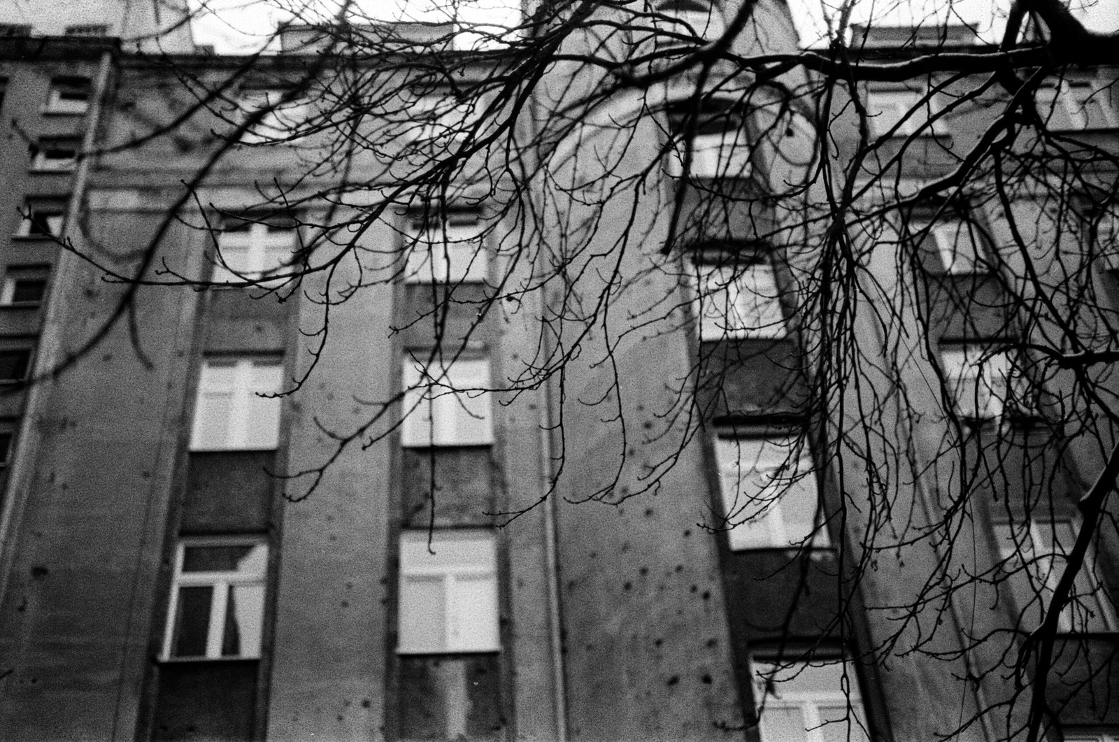 Leica M5 TTArtisan 50mm F0.95 Ilford HP5