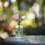 TTArtisan 85mm T2.1 Cine Soft Bubble obrazekk