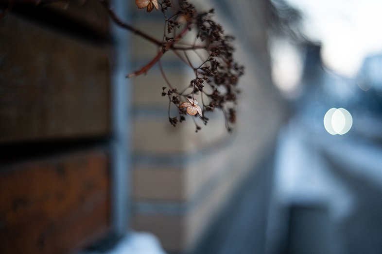 Ttartisan af 35mm f1.8 ii sony e 3 obrazek