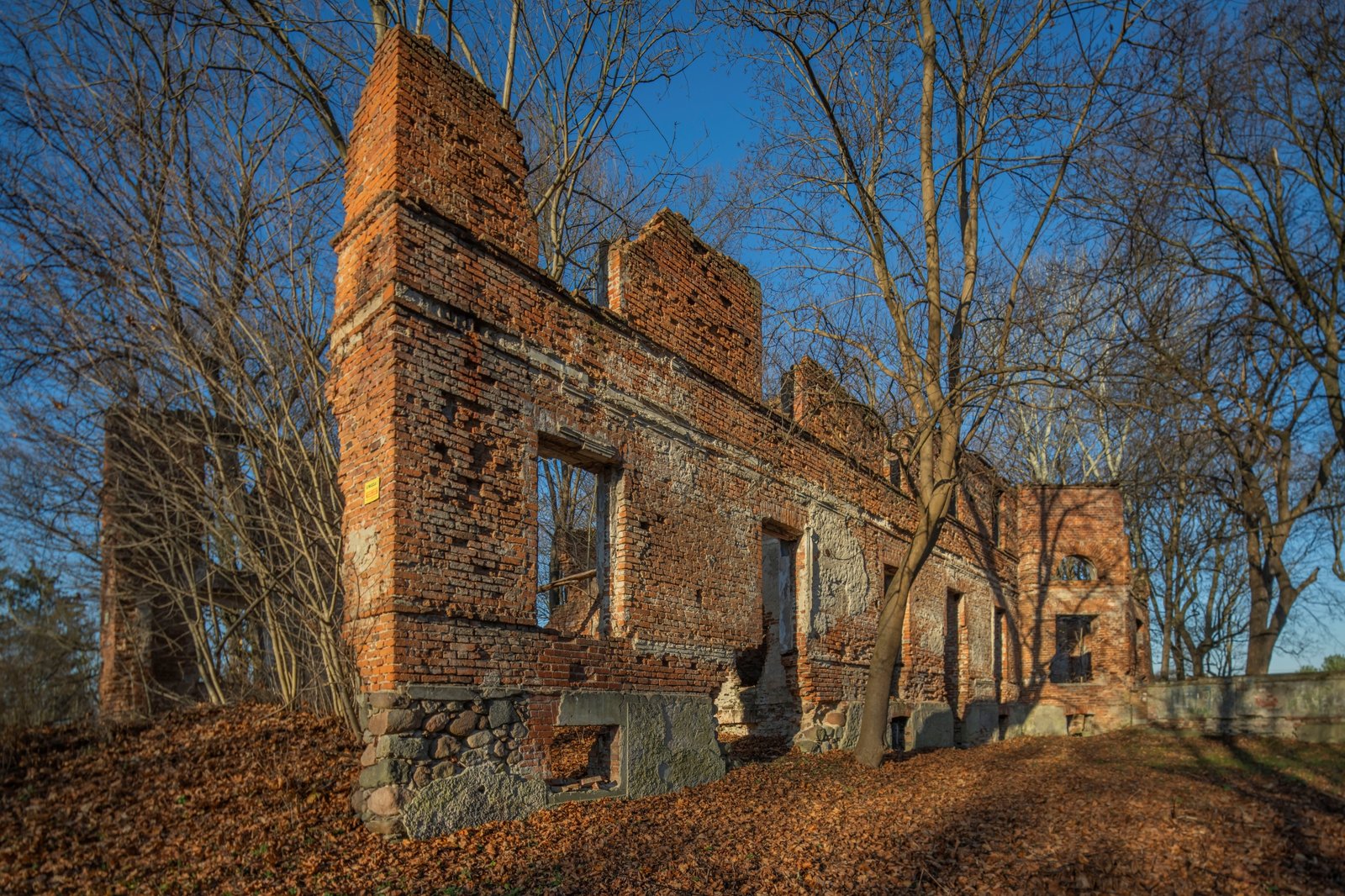 tipa-awards-2026-ttartisan-ts-17mm-f4-asph