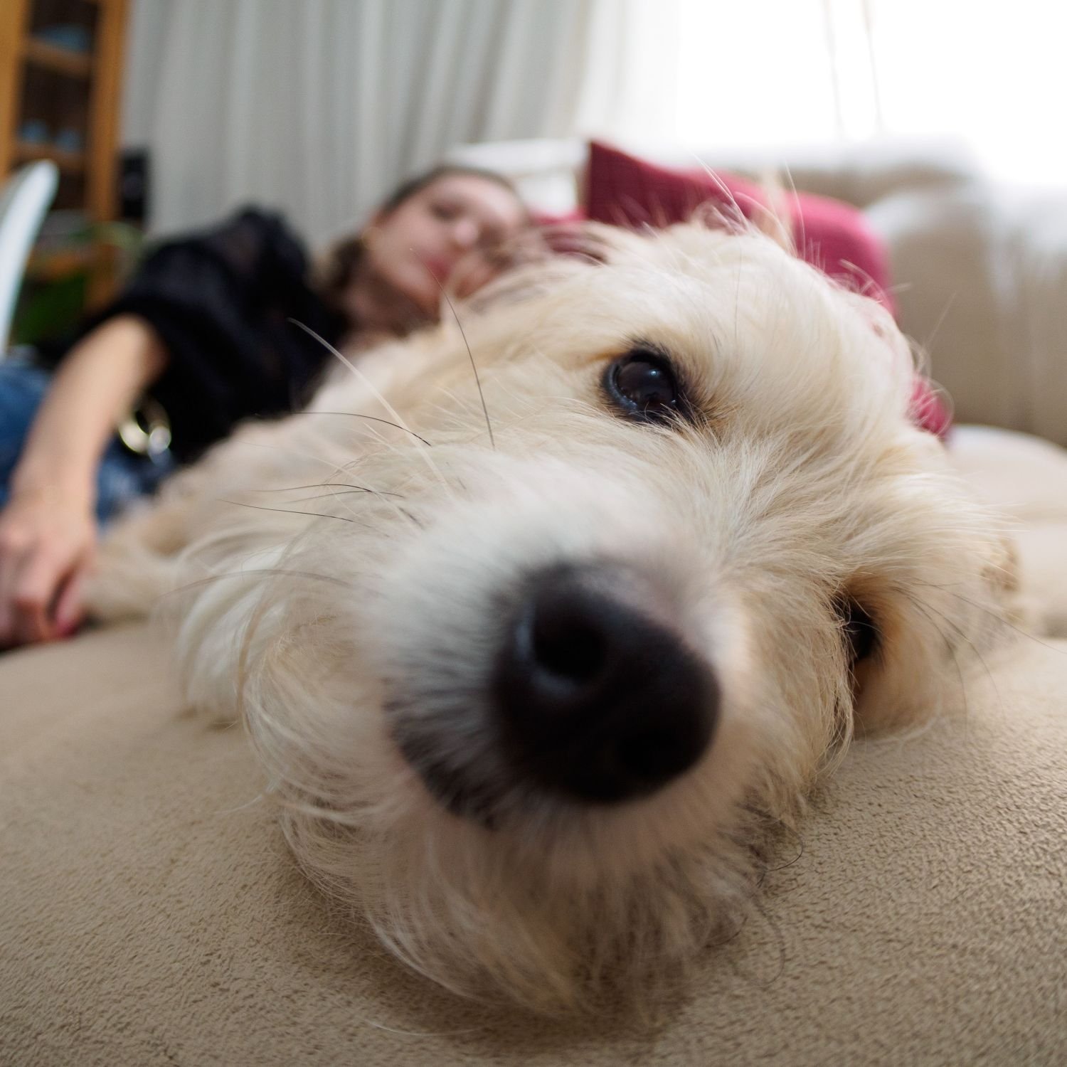 ttartisan-7-5mm-f2-fisheye-premiera-aps-c