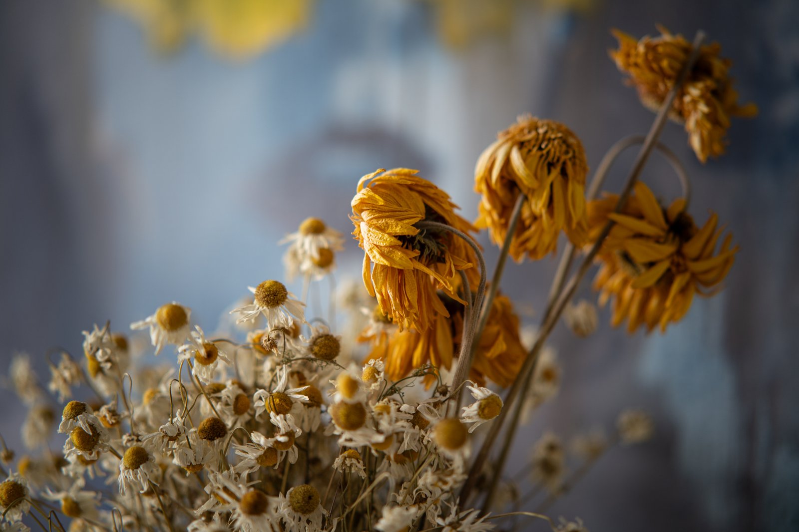 Galeria zdjęć przykładowych 2000px wykonana za pomocą obiektywu TTArtisan AF 85mm F1.8 Neo i aparatu Sony A7R V