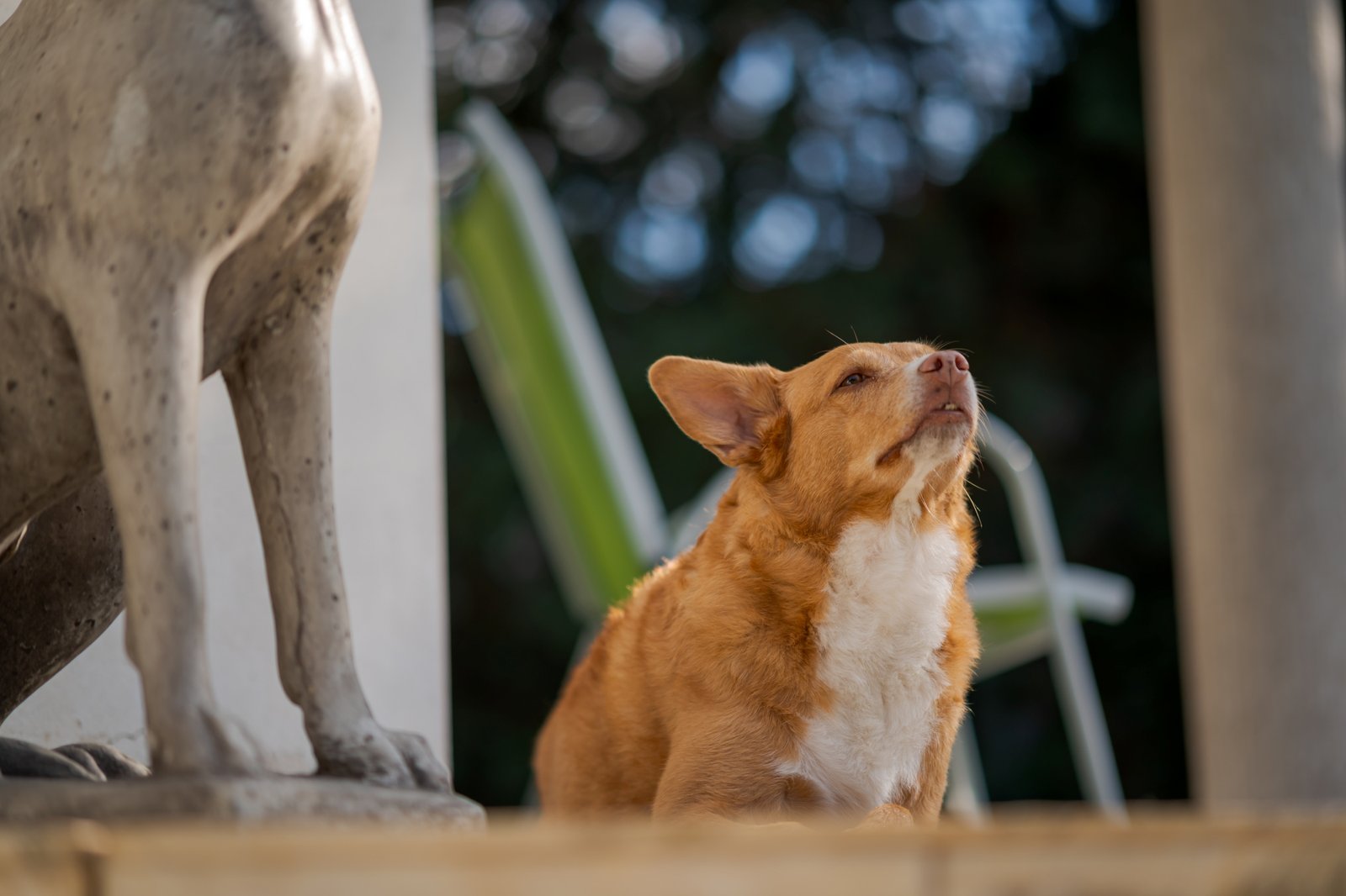 ttartisan-af-85mm-f18-neo-sony-e-test